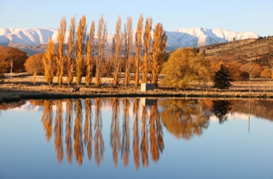 Taken at Idaburn dam on May 1. PHOTO: Jeff Toner, Arrowtown.
43.