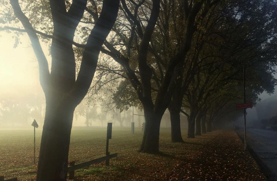 A foggy Anzac Day morning at Logan Park. PHOTO: Catherine Hartung, 
Dunedin.