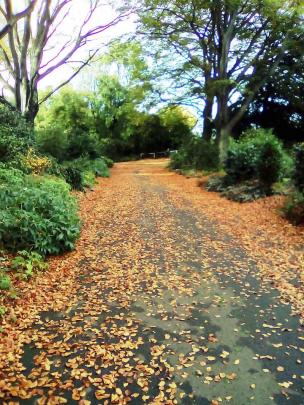 Botanic garden,  April 27. PHOTO: Kathleen Currie, Dunedin.