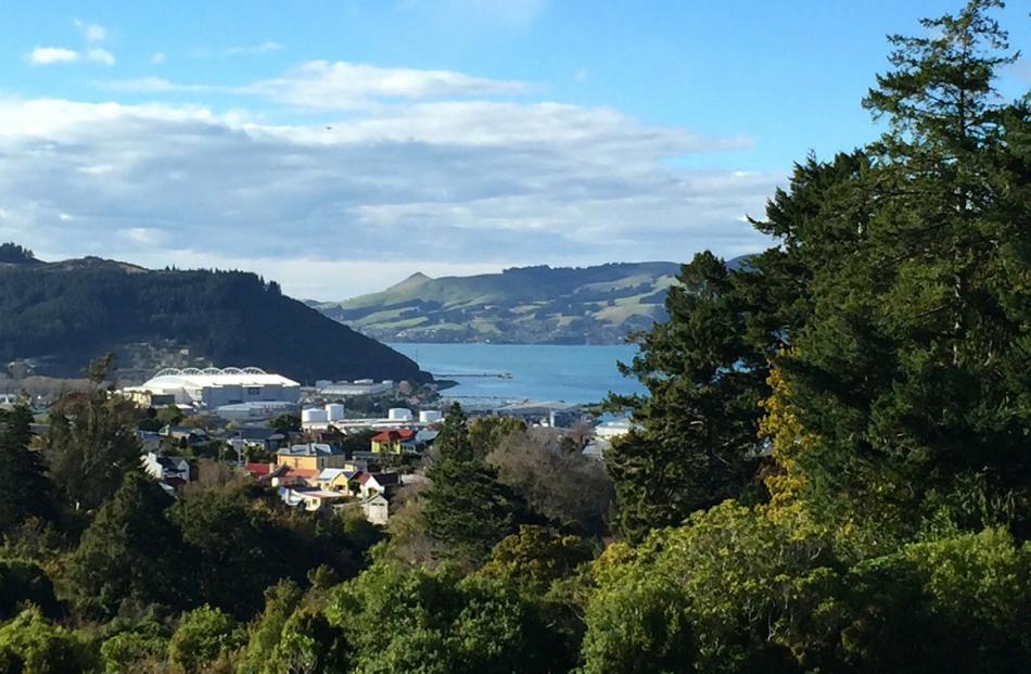 Looking down Otago Harbour from the Town Belt on Tuesday. PHOTO: ERROL HOLLAND.