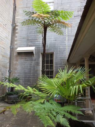 The enclosed courtyard at Vaucluse House.