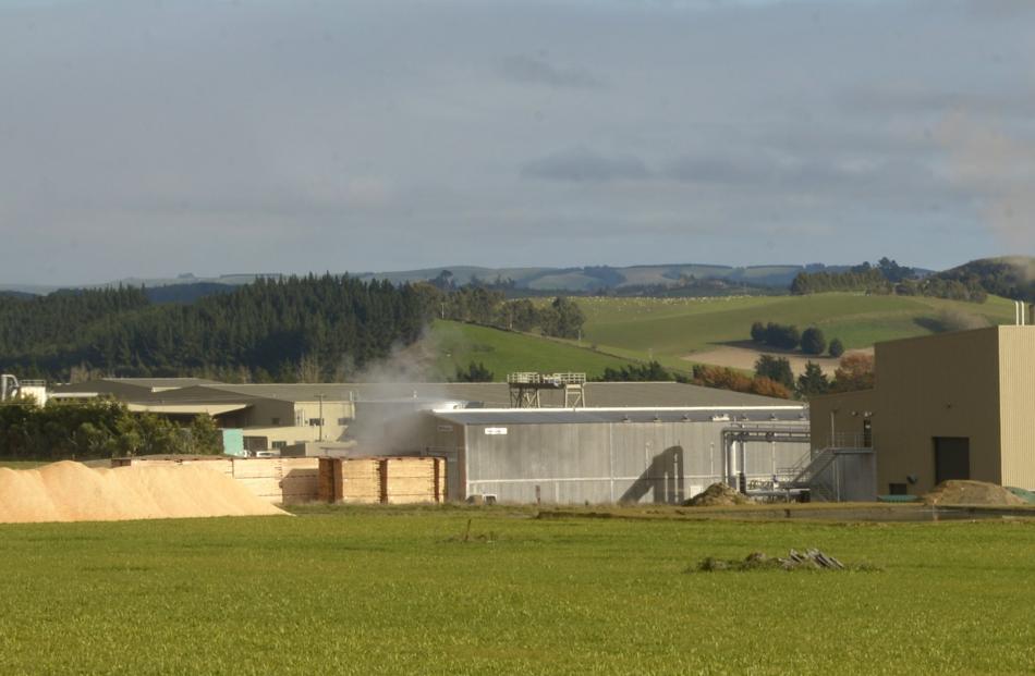 Pan Pac’s redeveloped  plant at Milburn, just north of Milton. Photos: Gerard O'Brien.