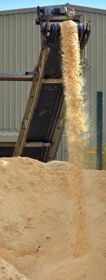 Some of the up to 90cu m of sawdust used daily to fuel the boiler at Pan Pac’s redeveloped...