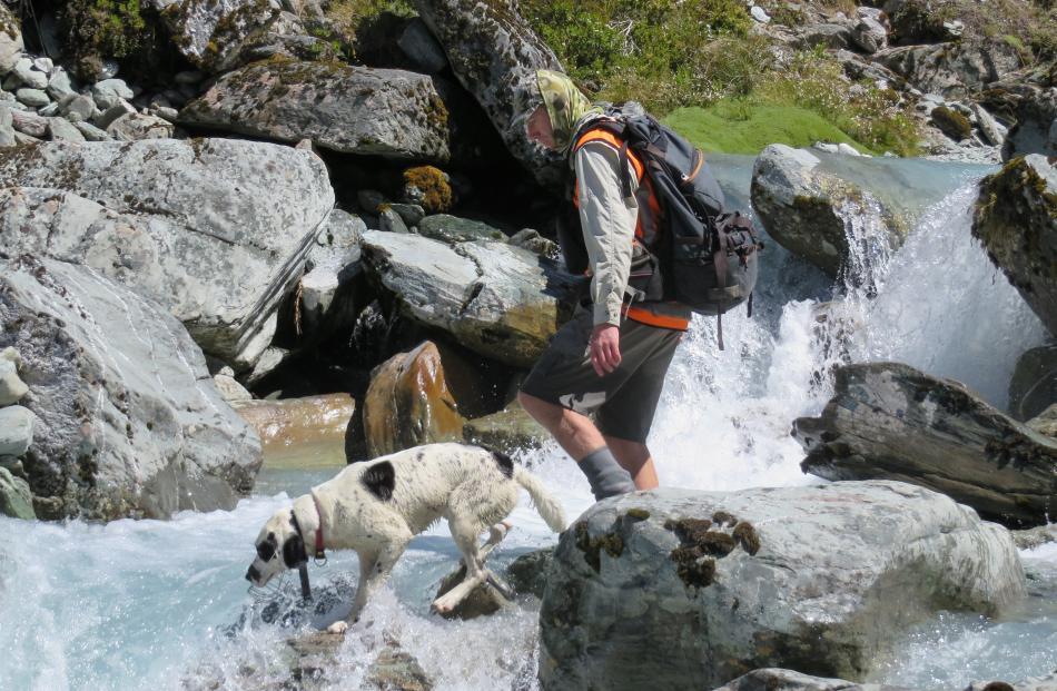 Paul van Klink and his dog Hoakie near Manapouri in January 2016 surveying the creek for whio or blue duck. Photo: Supplied