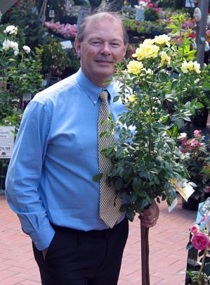 Anthony Tesselaar with a Carpet Rose grown as a standard.