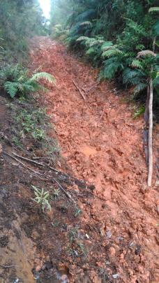 Waikato mud, north of Waitomo.