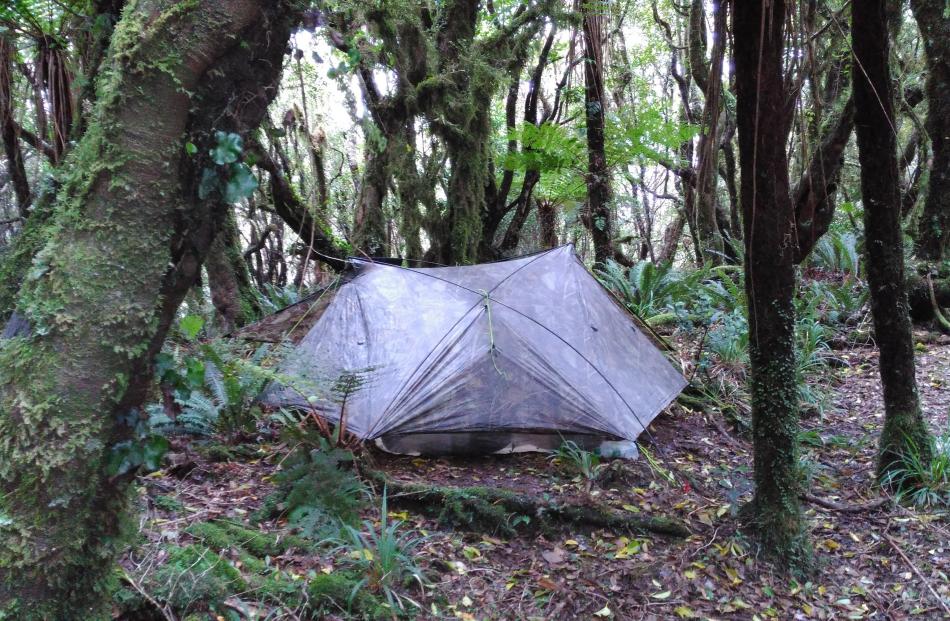 Camp in the northern Tararuas.