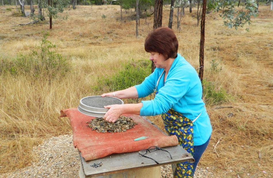 Nan Litchfield sorts stones from sapphires at her husband’s mine.