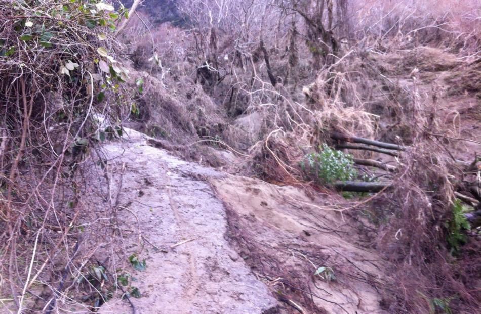 Some of the damage caused to the Outram Glen Track by the July 21-22 flood.