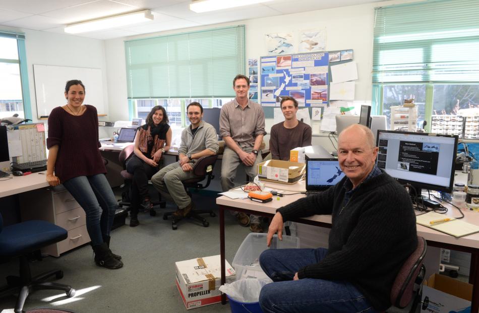 Analysing data from southern right whale research are (from left) University of Otago marine science PhD student Marta Guerra, research associate Dr Maddalena Fumagalli, PhD student David Johnston, lecturer Dr Will Rayment, PhD student Tom Brough and head
