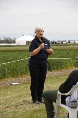 Foundation for Arable Research's research manager for farm systems, Diana Mathers, talks to growers at a Far field day.