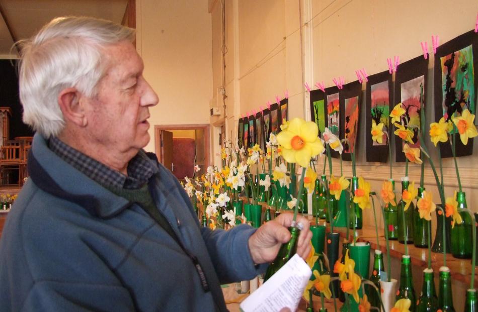 Ron Abernethy judges daffodils at Outram in 2013. 