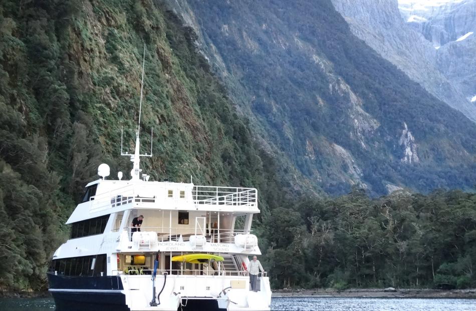 The Fiordland Jewel in a sheltered bay. Photos: David Williams