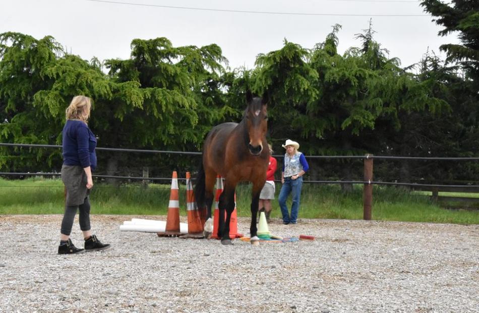 The benefits of equine therapy were promoted during Mental Health Awareness Week and North Canterbury's Community Wellbeing Week last month. 