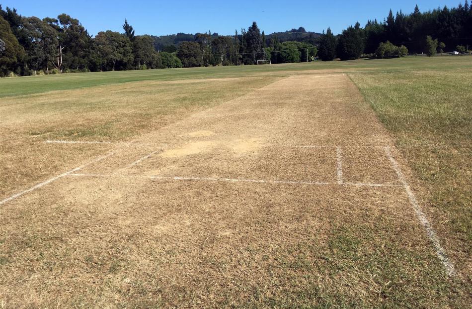 The grass wicket at Sunnyvale.