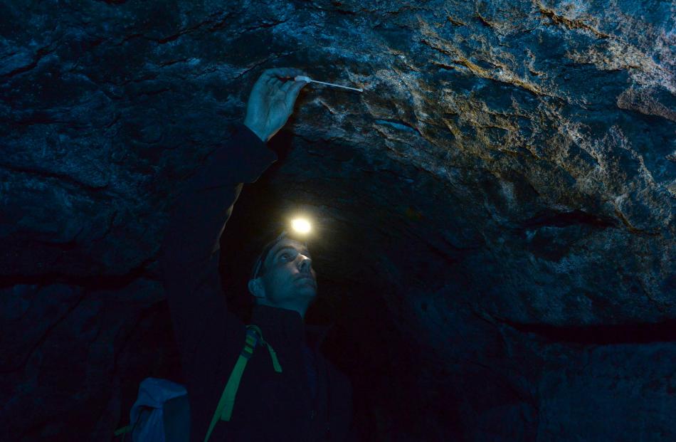 Whitestone Cheese head cheese-maker Chris Moran takes a mould sample in a former water race cave on an Ardgowan farm, near Oamaru. 