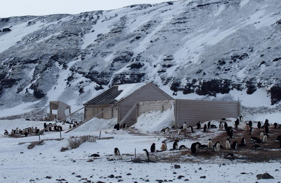 The Borchgrevink hut at Cape Adare, the Antarctic. Photo: Antartice Heritage Trust