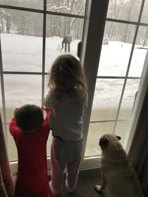 Arlo (8 months), Mila (2) and Chubby the pug watch dad Max Smith, of Dunedin, build a snowman...