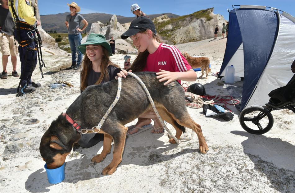 Eva De Pelsemaeker (12, right) and her friend Annika MacNab (11), both of Dunedin, celebrate the safe rescue of Eva's family dog Bowie after he was stranded on a ledge in St Bathans for almost 18 hours. Photos: Gregor Richardson