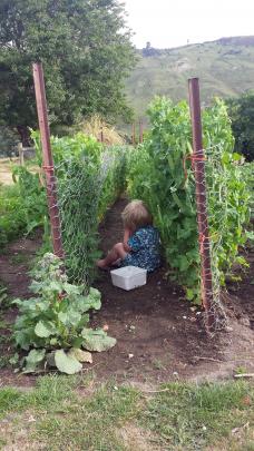 Liam Mowry (3) is caught eating peas. Photo: Kirstin Mowry