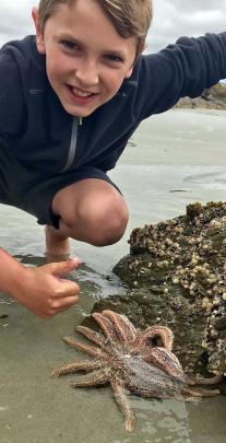 Mateo Barnett (10) finds a starfish at Taieri Beach. Previously from Dunedin and now living in La Paz, Bolivia, he was visiting grandparents at Taieri Beach. Photo: Bruce Barnett