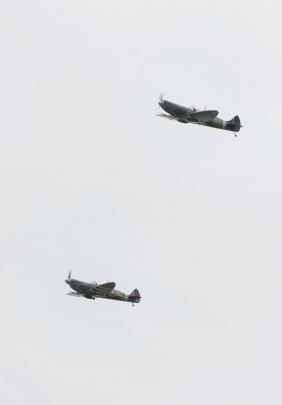 Replica Spitfires fly in formation.