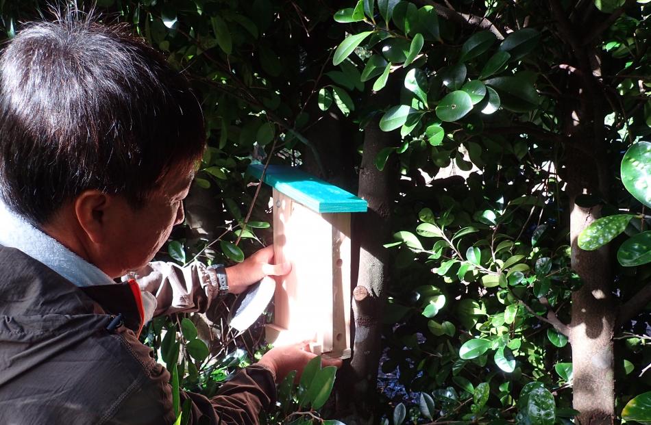 A researcher in the Ogasawara Islands south of Japan checks an Otago prison-designed-and-built...