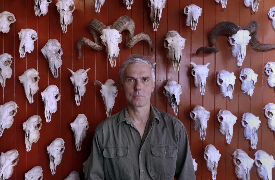 Dunedin Museum of Natural Mystery owner Bruce Mahalski in front of his wall of sheep skulls....