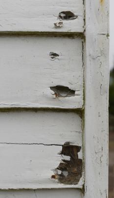 Rotting weatherboards and peeling paint on the exterior of the church.