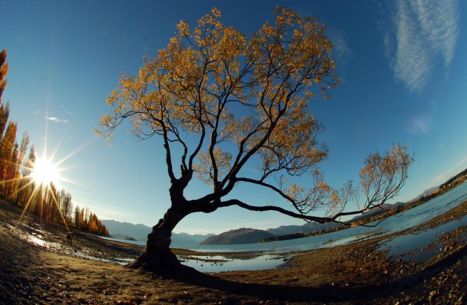 Lake Wanaka on Anzac Day. PHOTO: Chris Aspinall
