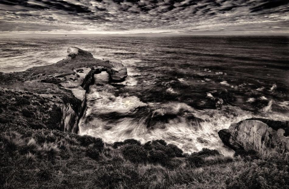 Photos by (c) Ilan Wittenberg