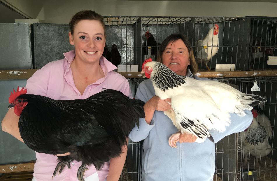 Lauren Spicer (left) and Diana Puru take part in the Timaru Poultry Pigeon and Caged Bird Show.