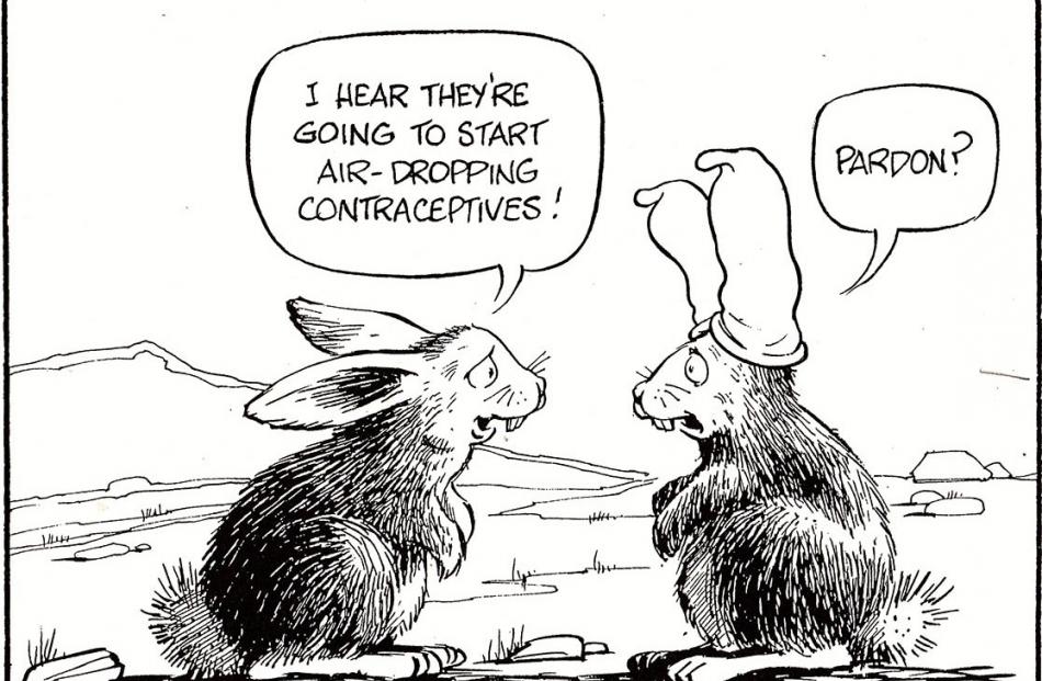 As the rabbit problem threatens the viability of high-country farming, scientists investigate the...