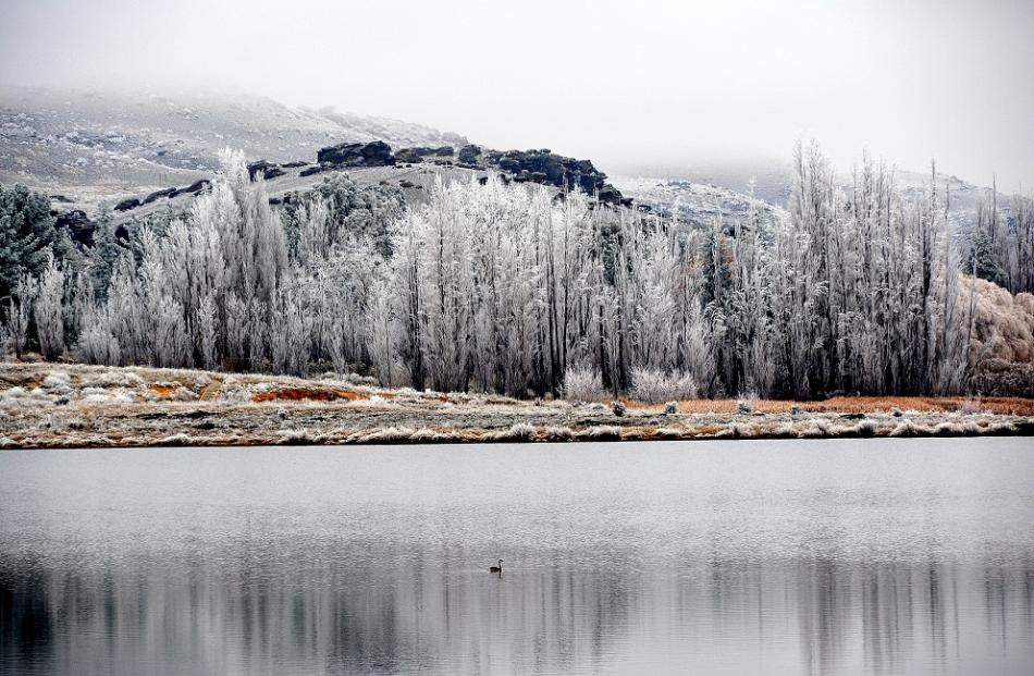 Butchers Dam near Alexandra. Photo: Greg Hughson