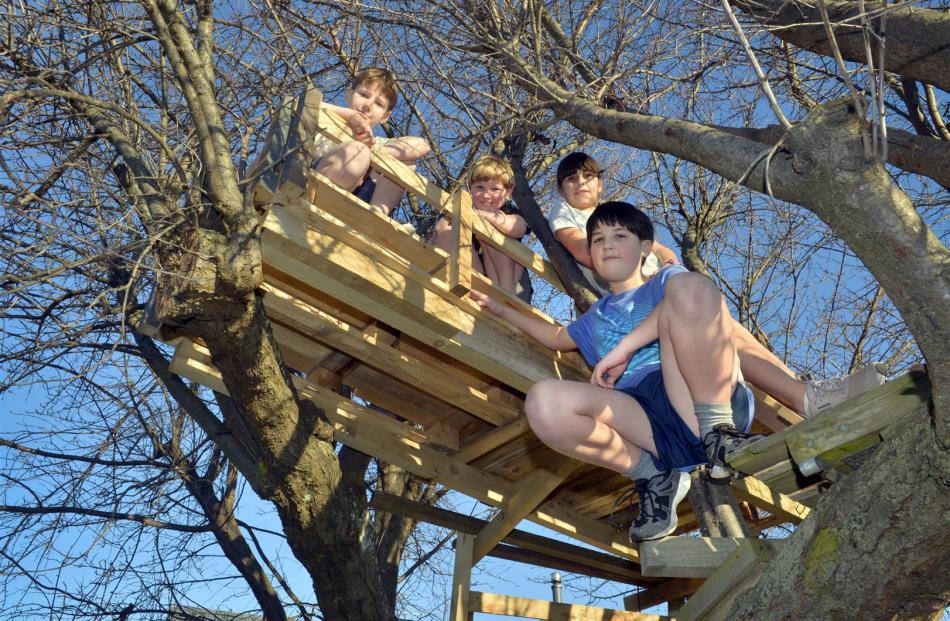 Enjoying their tree house are (from left to right) Devon Oke (10), Logan Oke (6), neighbour Emma Simpson (11), and Ethan Oke (12). Photos: Gerard O'Brien