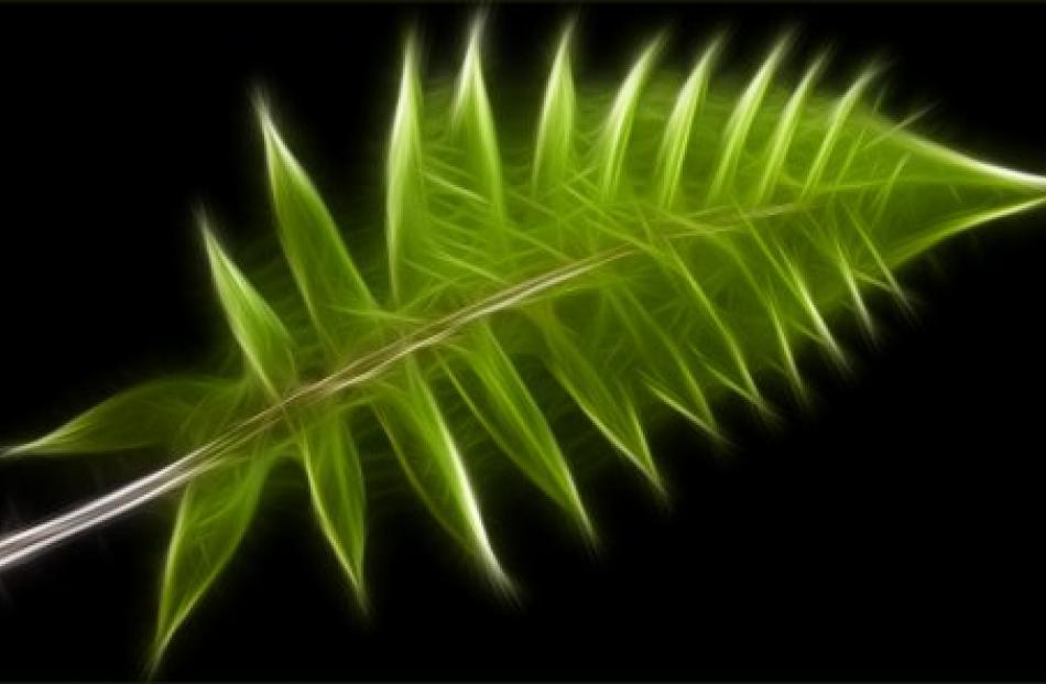 Honours, open projected images: 'Fern Fantasy', by Elizabeth Passuello (Greymouth).
