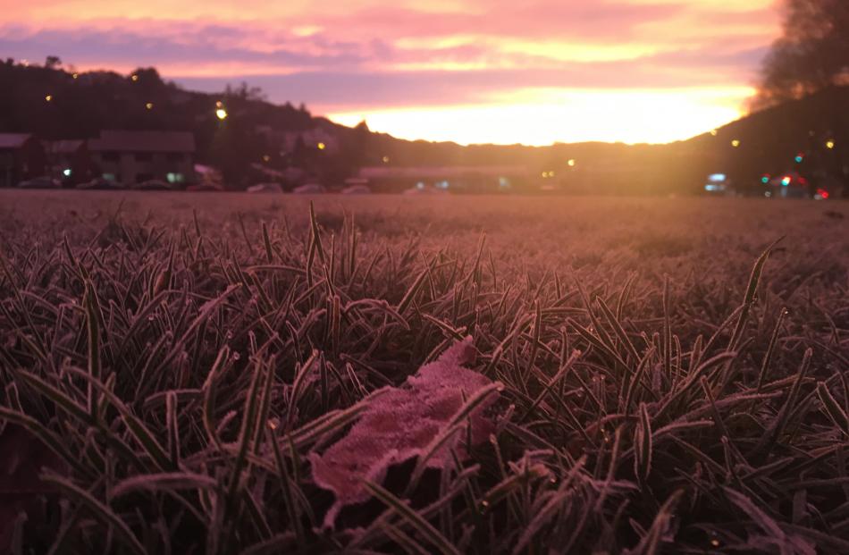 The sun rises over a frosty Gardens sports field. Photo: Gerard O'Brien