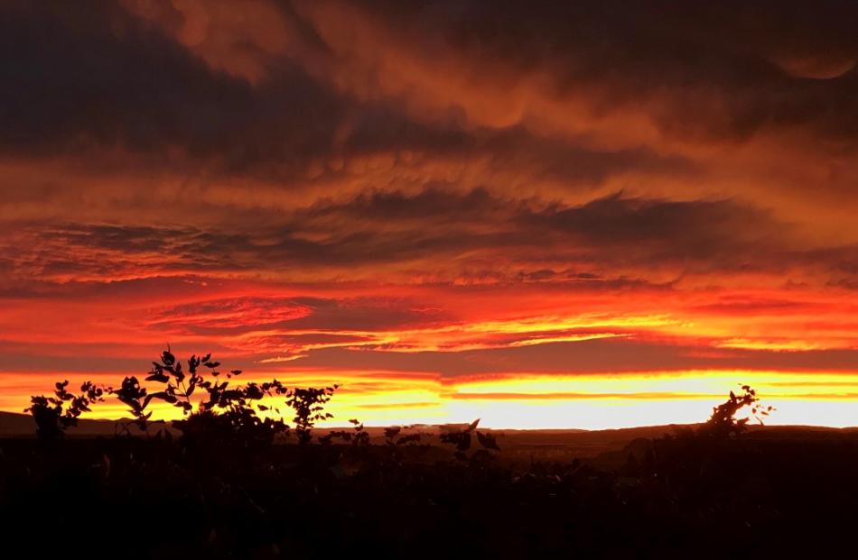 The sunrise over Alexandra. Photo: Joy Bennett