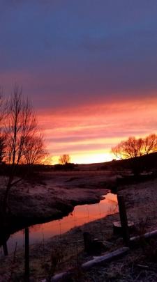 The sunrise reflects in this frost rural scene near Palmerston. Photo: Gemma Fairbairn