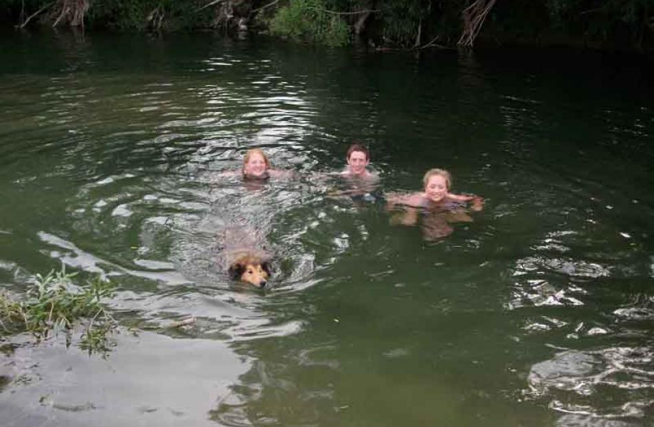 Angus the dog joining in for a swim with Rachel, Richard and Sarah, at Gemmell's Crossing on the...