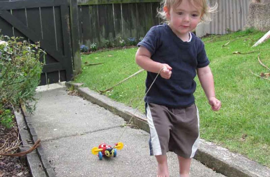 Making a beeline . . .The photographer's little brother Riley Verhoef (22 months old) with one of...