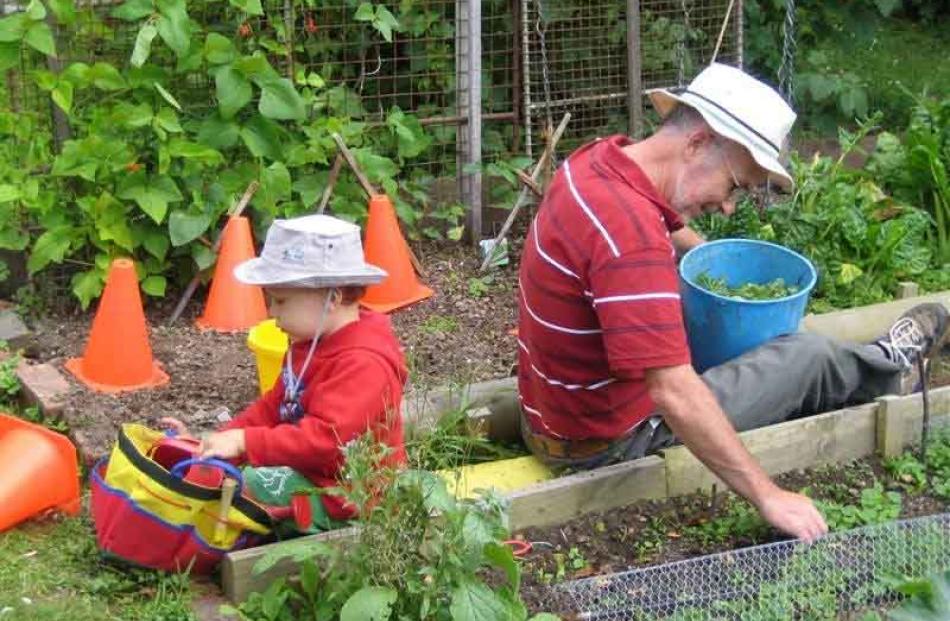 Jackson Ah Wong (2 ) and his grandad Ken Fahey thin carrots in their Swayers Bay garden. Photo:...