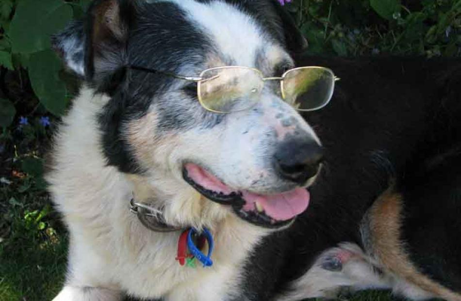 I can see clearly now! photo: Bill Borrow,