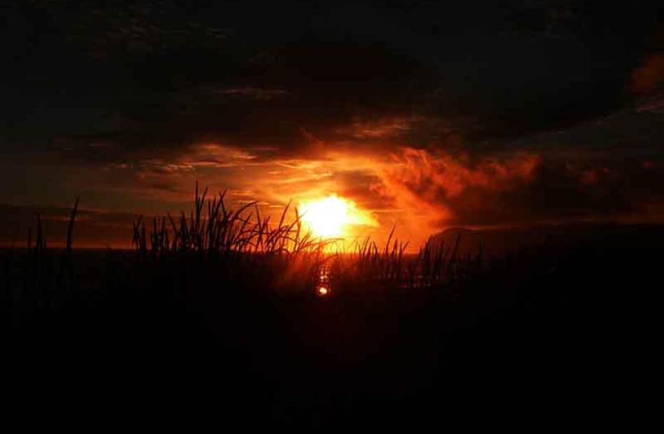St Kilda, Sunset, December 2010. PHOTO: ANNA BEGG