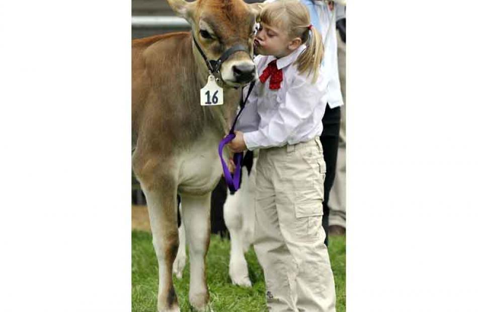 Emily Instone (5), of Inch Clutha, with calf Babe.