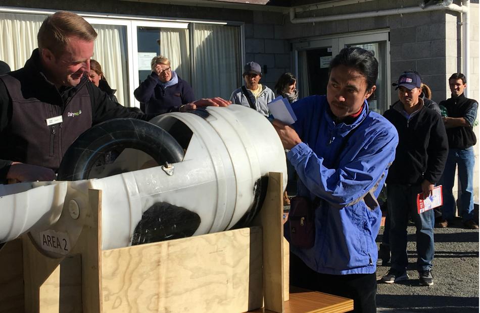 DairyNZ animal care extension specialist Tony Dench puts farm worker Jan Bryan Angeles, of Ealing, to the test in a mock calving situation using a life-sized rubber calf and a specially designed plastic drum, during a CalvingSmart workshop in Hinds.