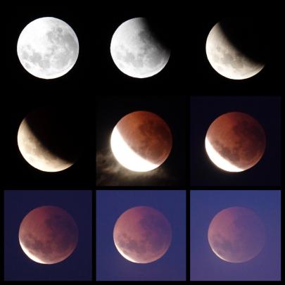 Sequence of lunar eclipse from Saddle Hill. Photo: Izumi Schmidt  