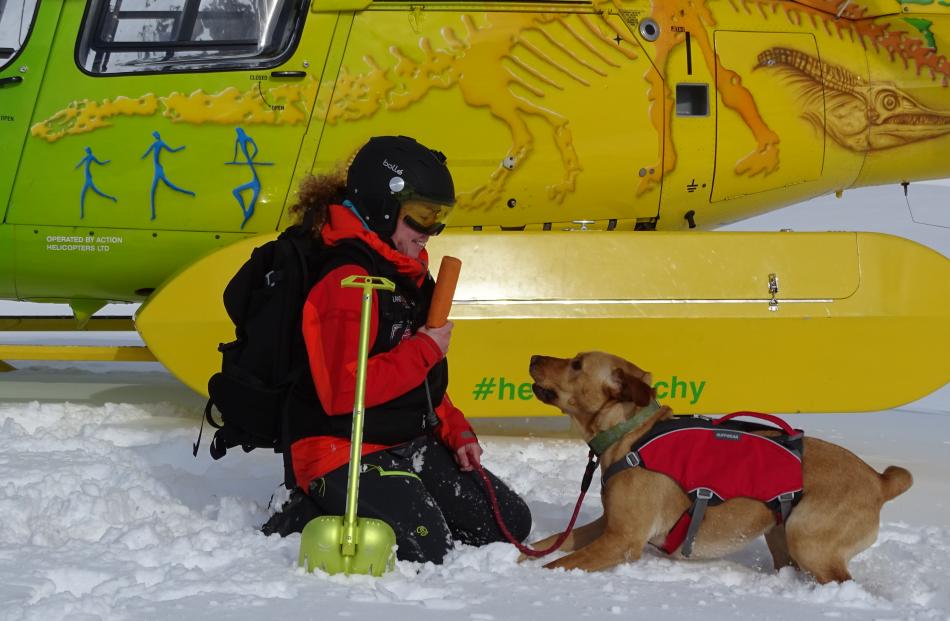 Vladka Kennett and Zara the Labrador train in the snow on Friday. Photos: Daisy Hudson