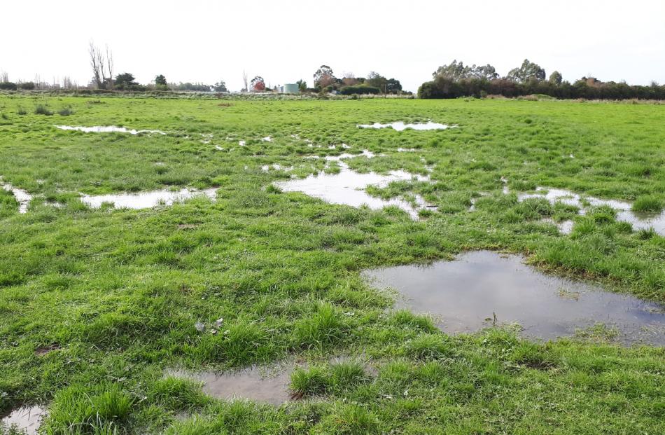 Drainage has been a nightmare for Kaikoura plains farmers since the November 2016 earthquake. Photos: Supplied