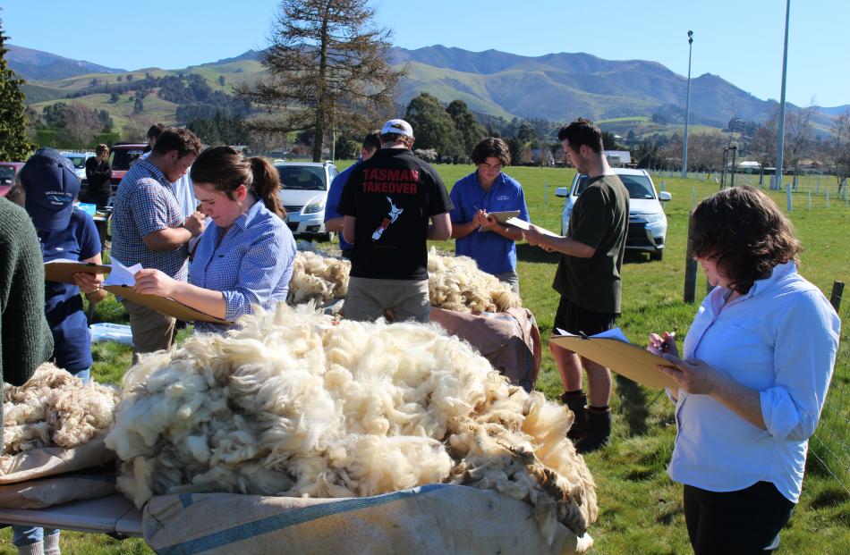 Young farmers test their wool-judging skills.